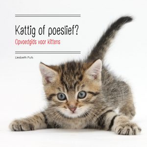 kattig of poeslief opvoedgids voor kittens